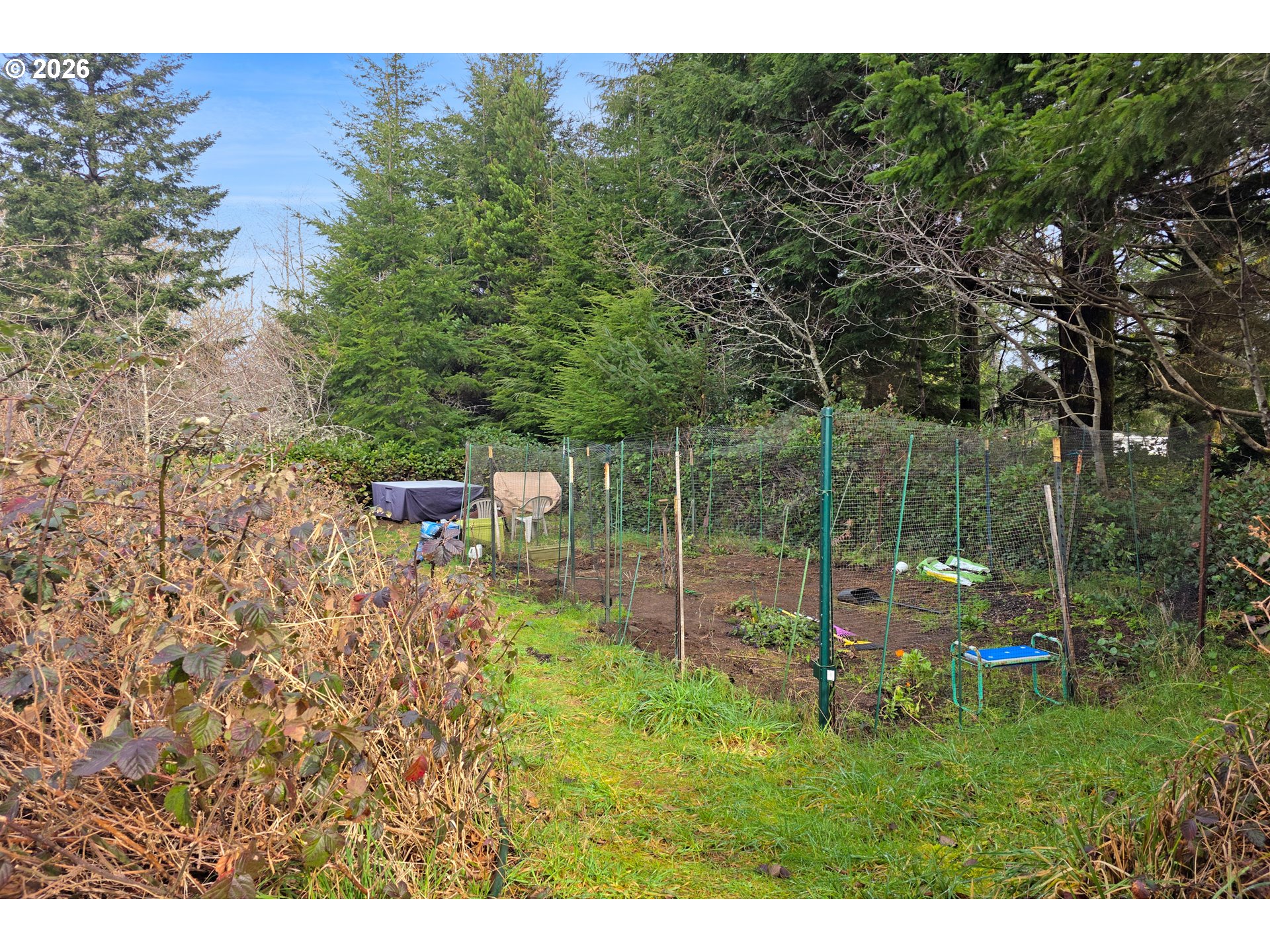 5591 Chittum Loop Florence, OR 97439 - Photo 21 of 23 a view of a park