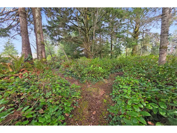 a view of a city with lush green forest