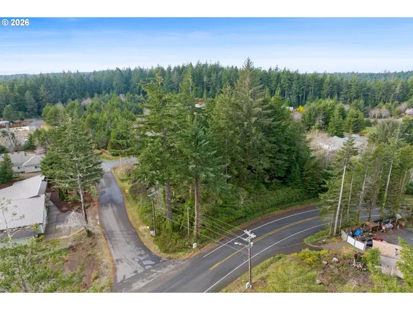 a view of a yard with a tree