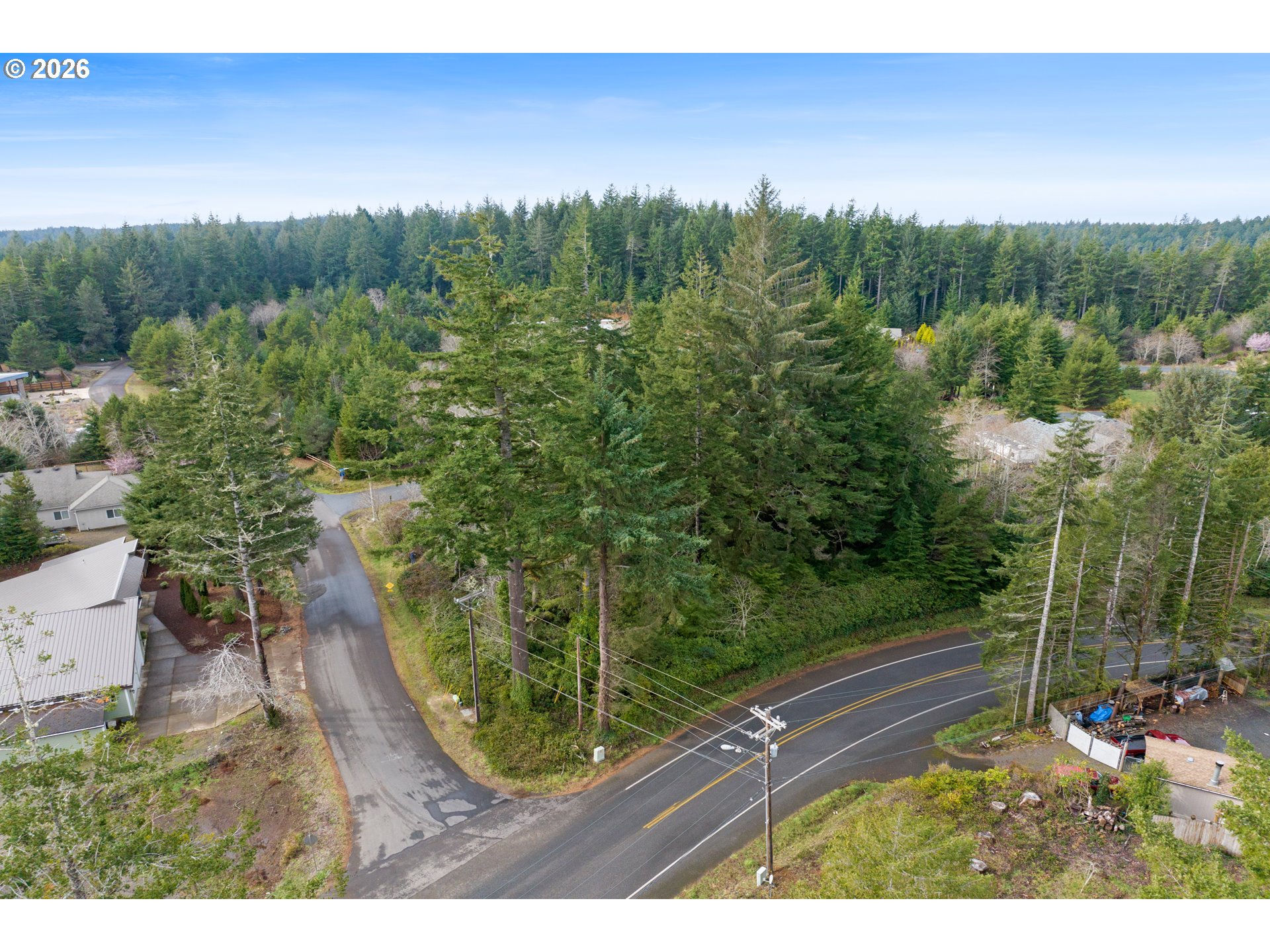 5591 Chittum Loop Florence, OR 97439 - Photo 5 of 23 a view of a yard with a tree