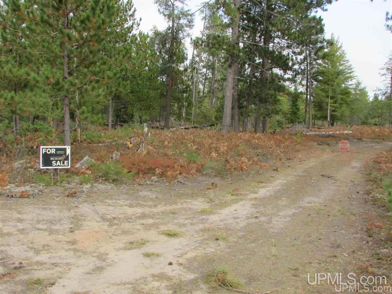 24624 Huron Road Skanee, MI 49962 - Photo 13 of 14 Gallery Image 13
