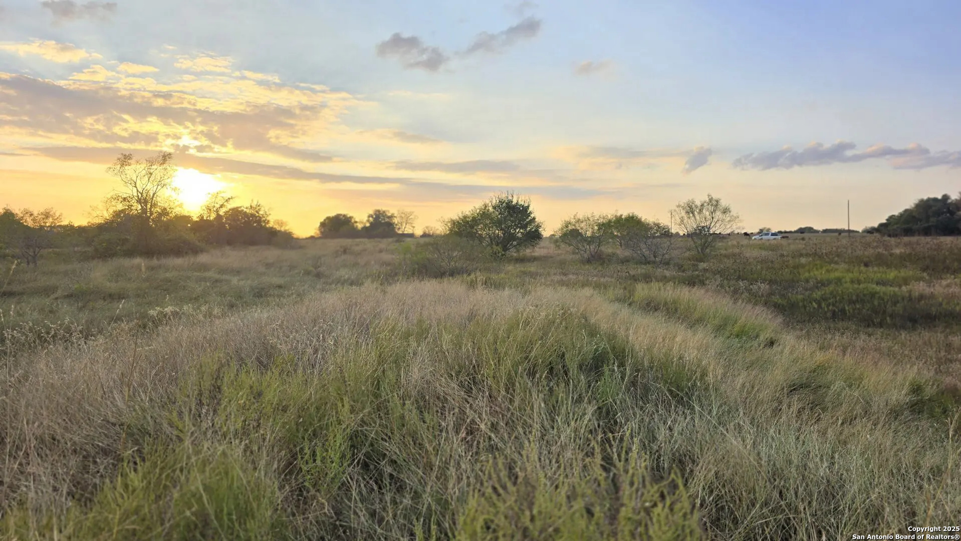 a view of a field of grass and trees