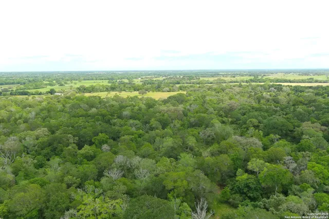 an aerial view of residential houses with outdoor space and trees