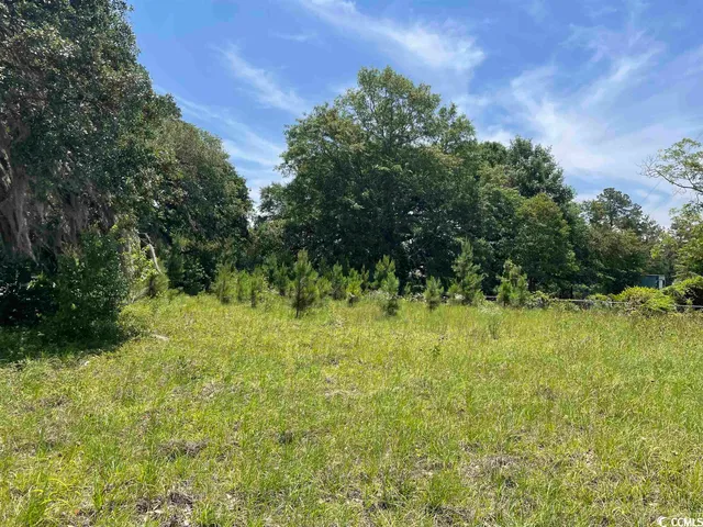 $115,000 | Tbd North Longstreet Street, Kingstree, SC 29556