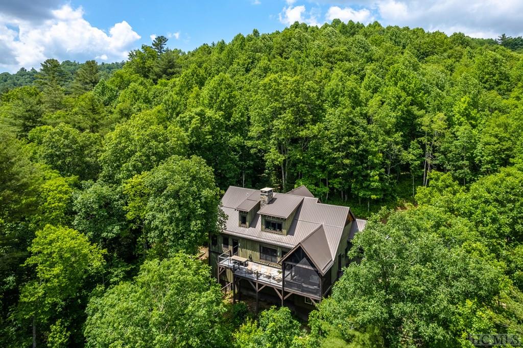 992 Found Forest Road Cashiers, NC 28717 - Photo 4 of 39 Gallery Image 4