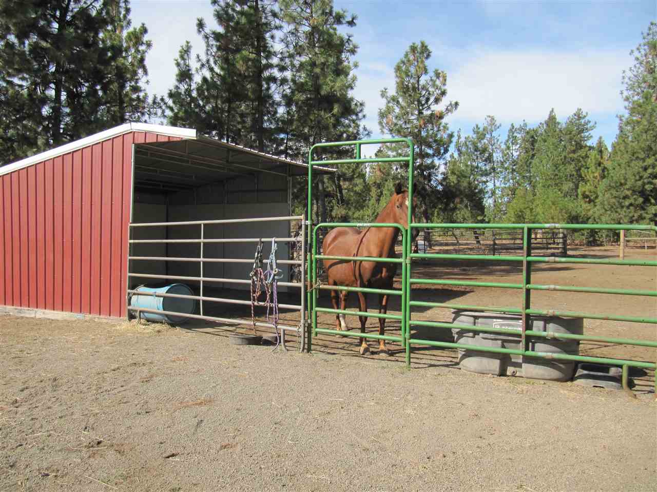 5126 South Cheatham Road Spokane, WA 99224 - Photo 5 of 20