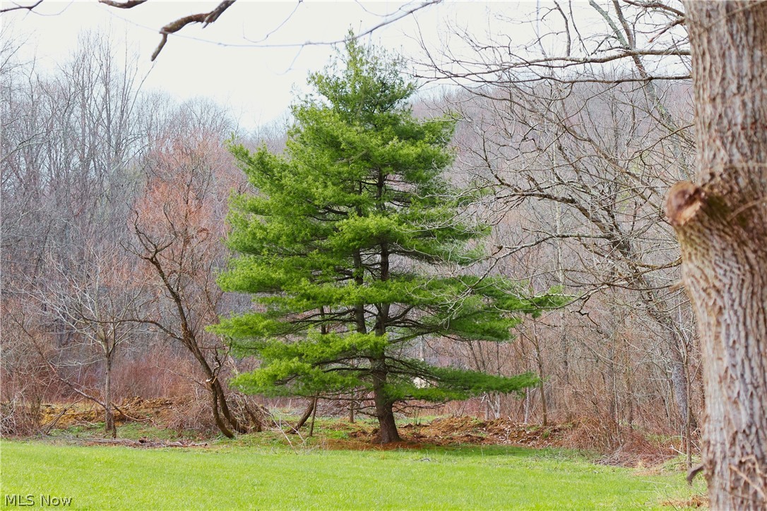 6030 Atkinson Creek Road Southeast Tippecanoe, OH 44699 - Photo 25 of 27