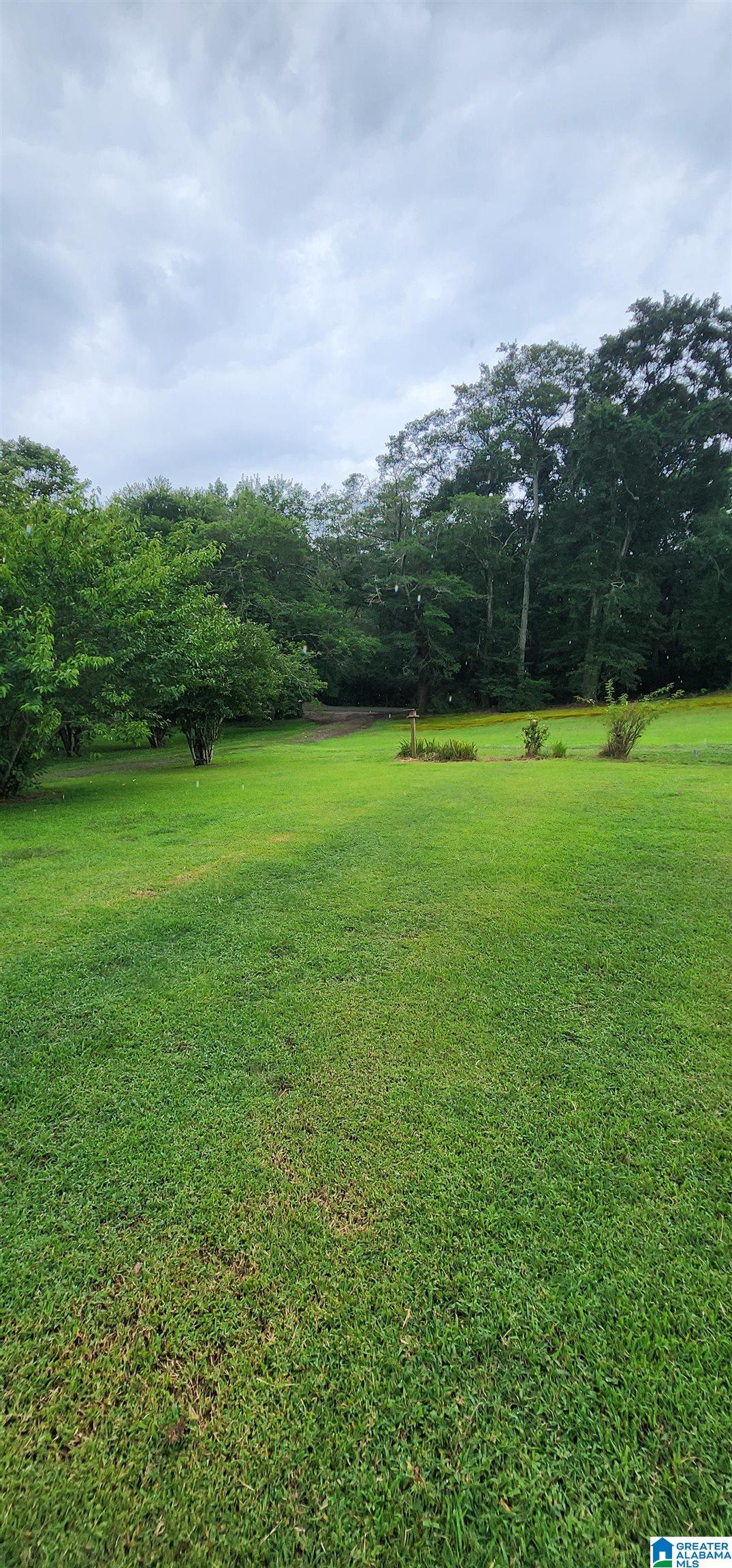368 Dodd Road Altoona, AL 35952 - Photo 36 of 54