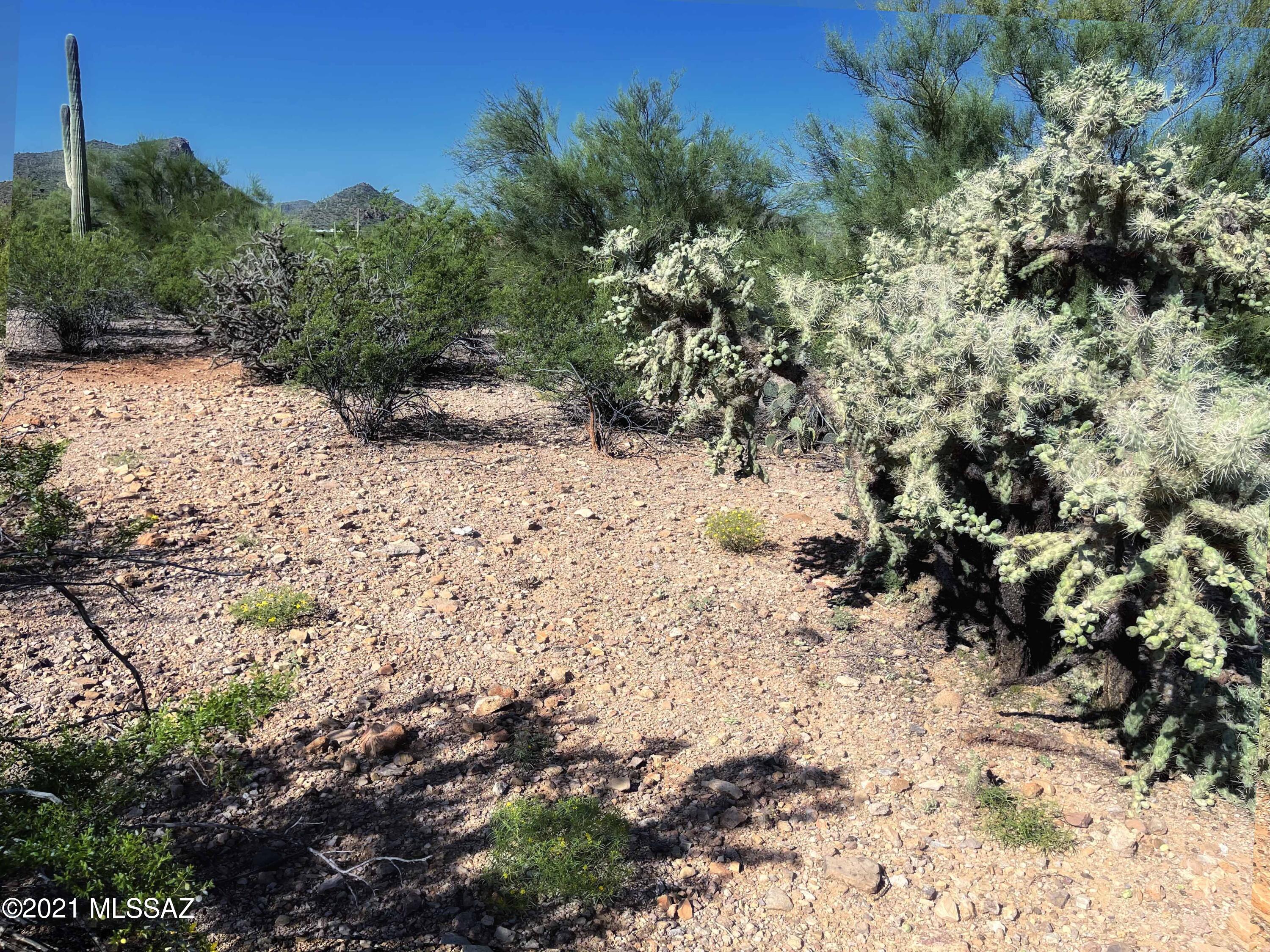 7089 West Ina Road Tucson, AZ 85743 - Photo 6 of 12 Gallery Image 6