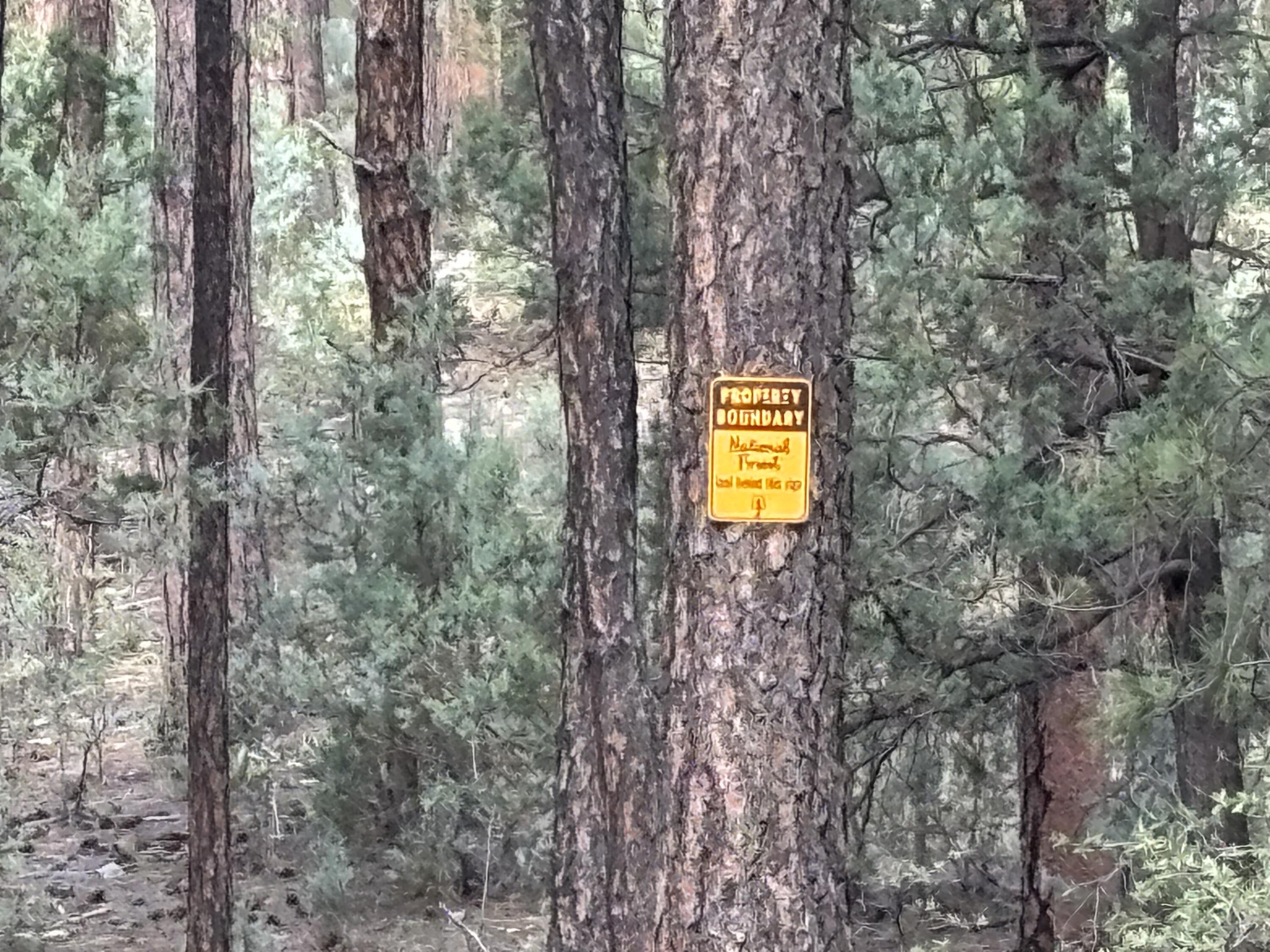 183 West Raven Road Payson, AZ 85541 - Photo 25 of 70 IMG_4480