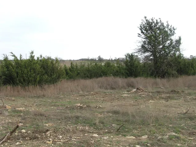 a view of lake with green field and trees