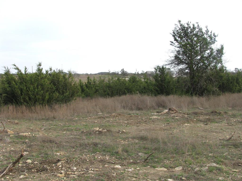 a view of lake with green field and trees