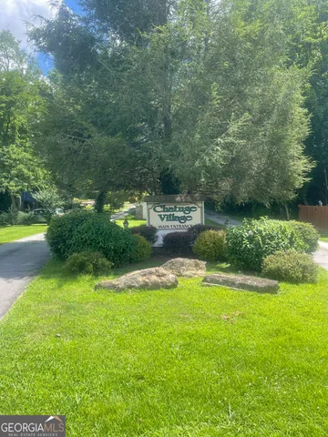 a view of a tree with a plant