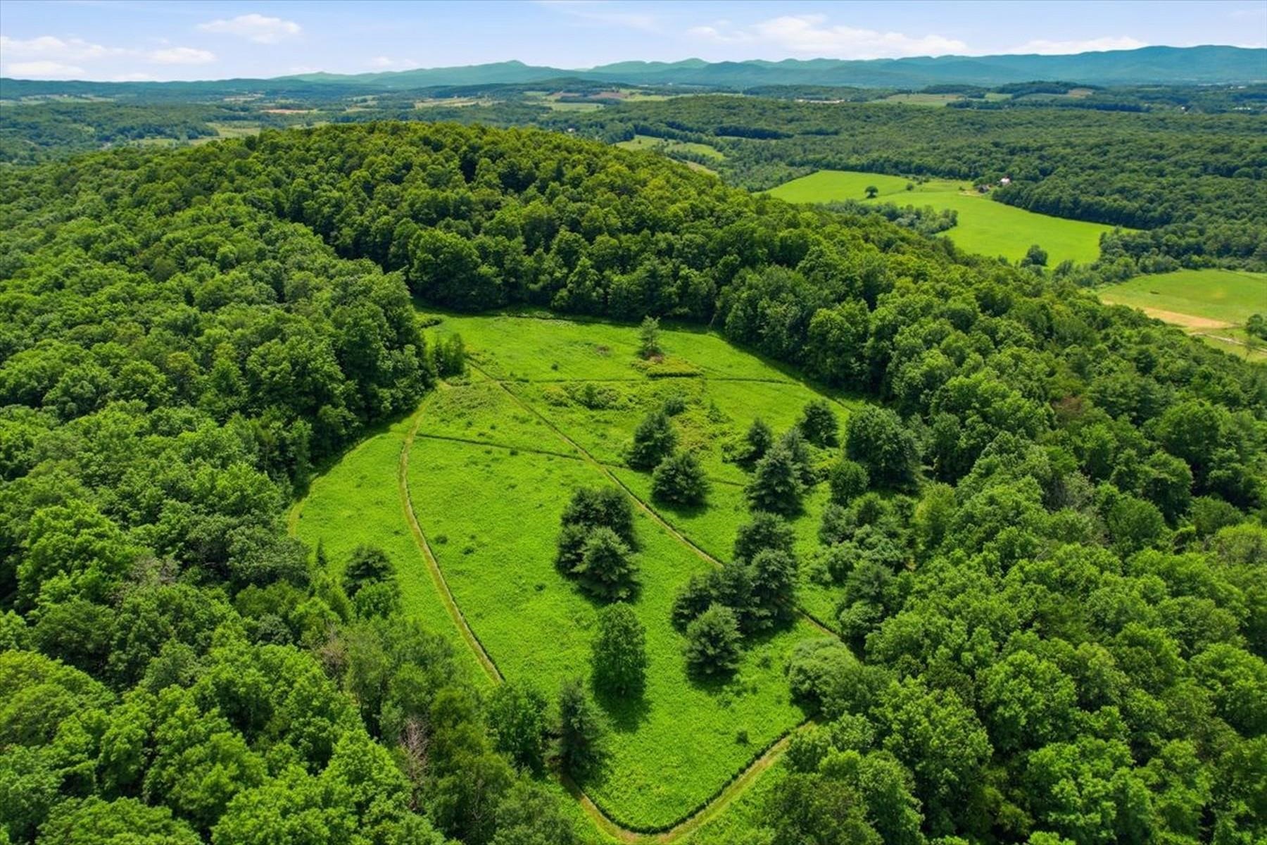 1870 Shacksboro Road, Unit LOT 1 Shoreham, VT 05770 - Photo 6 of 16