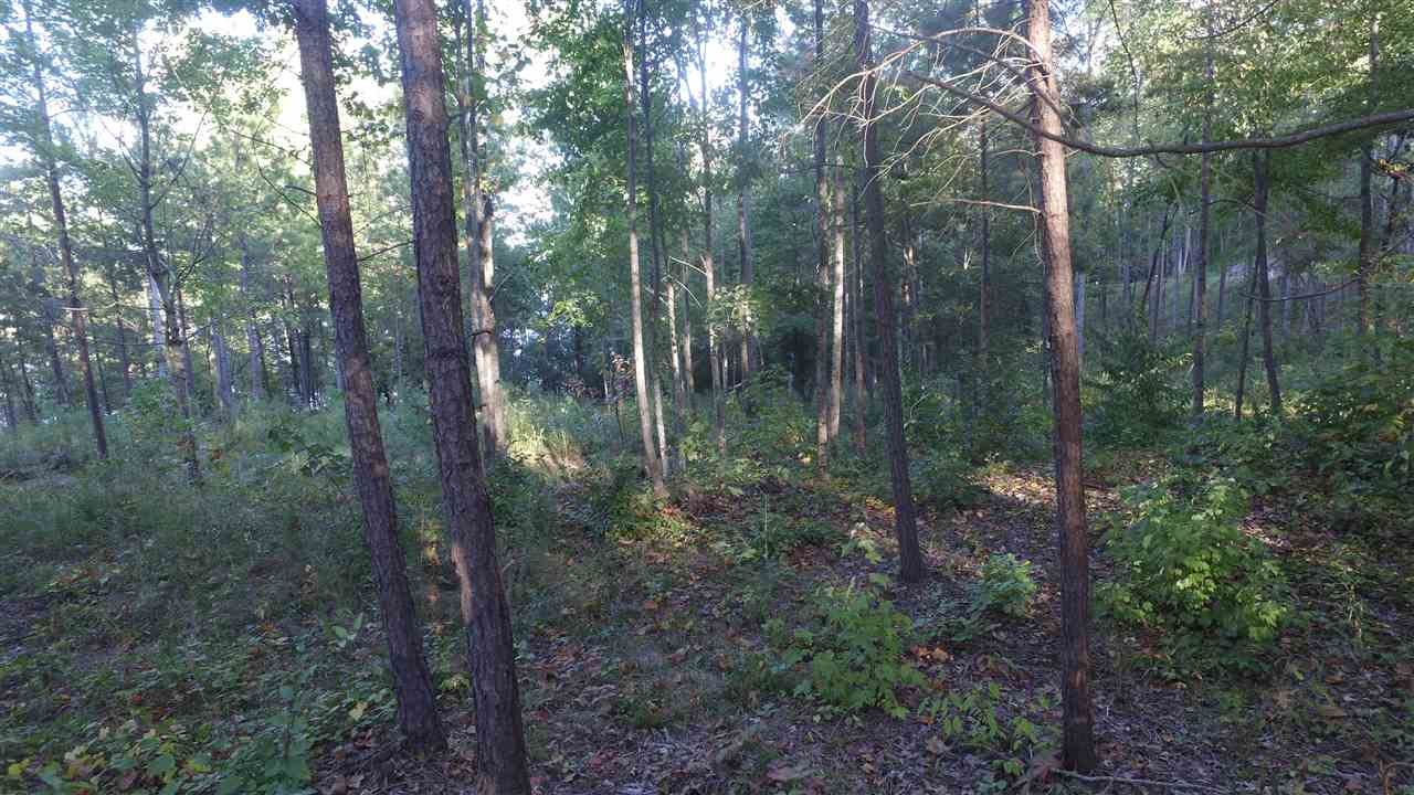 Lot 14 McAlister Road West Union, SC 29696 - Photo 8 of 24 Gallery Image 8