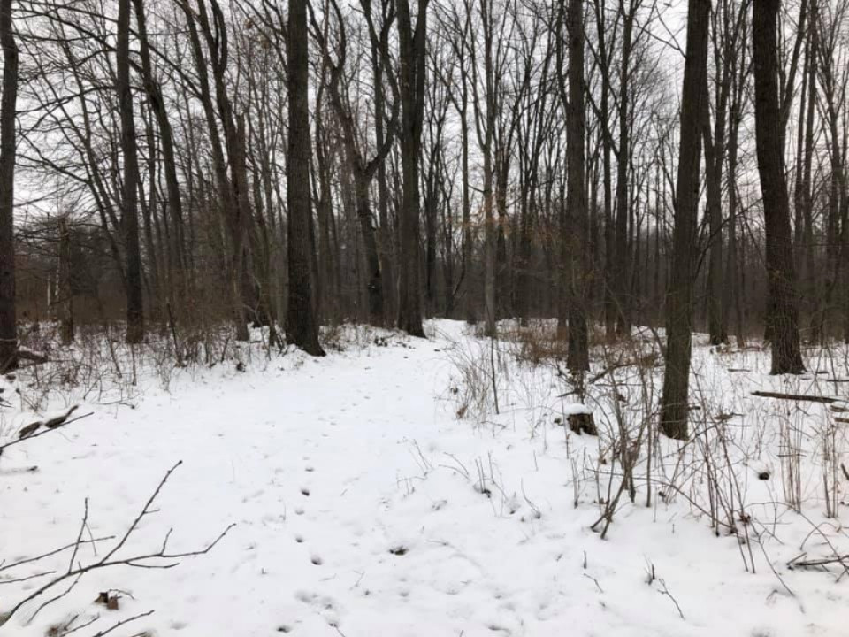 -vl Brown Road Springport, MI 49284 - Photo 11 of 14 brown 11