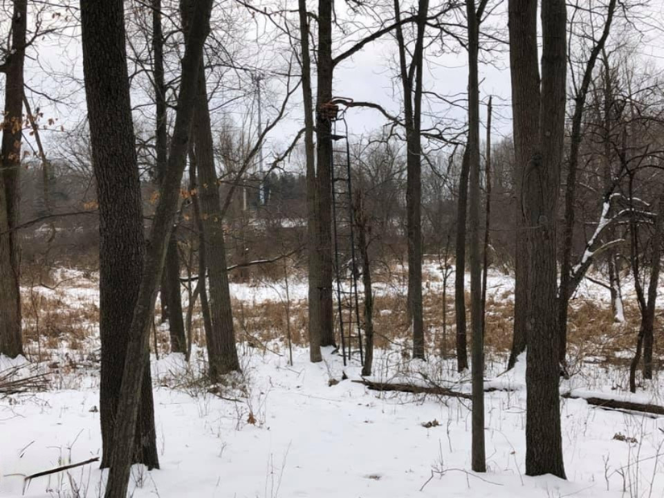 -vl Brown Road Springport, MI 49284 - Photo 2 of 14 brown 2