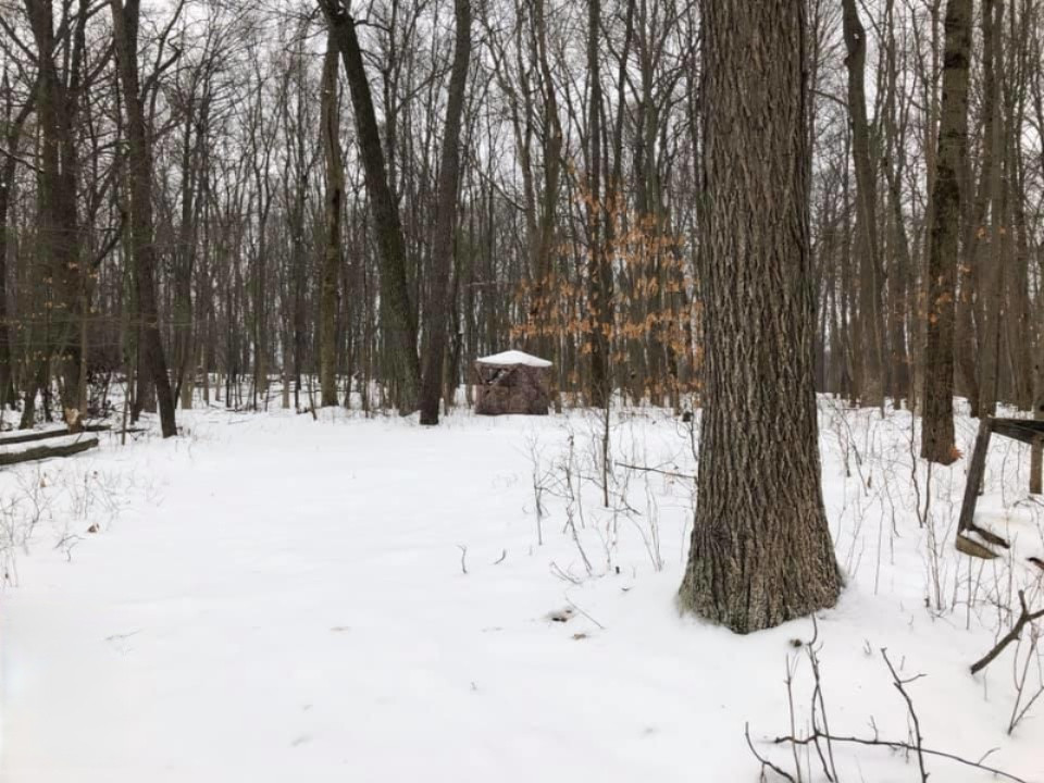 -vl Brown Road Springport, MI 49284 - Photo 5 of 14 brown 5