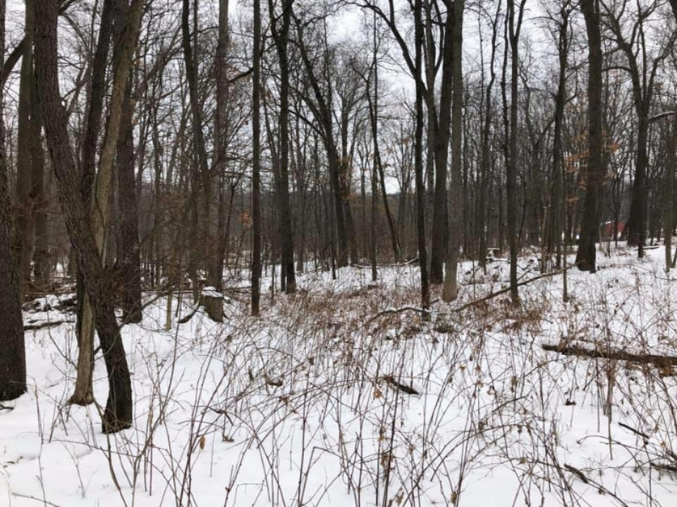 -vl Brown Road Springport, MI 49284 - Photo 6 of 14 brown 6