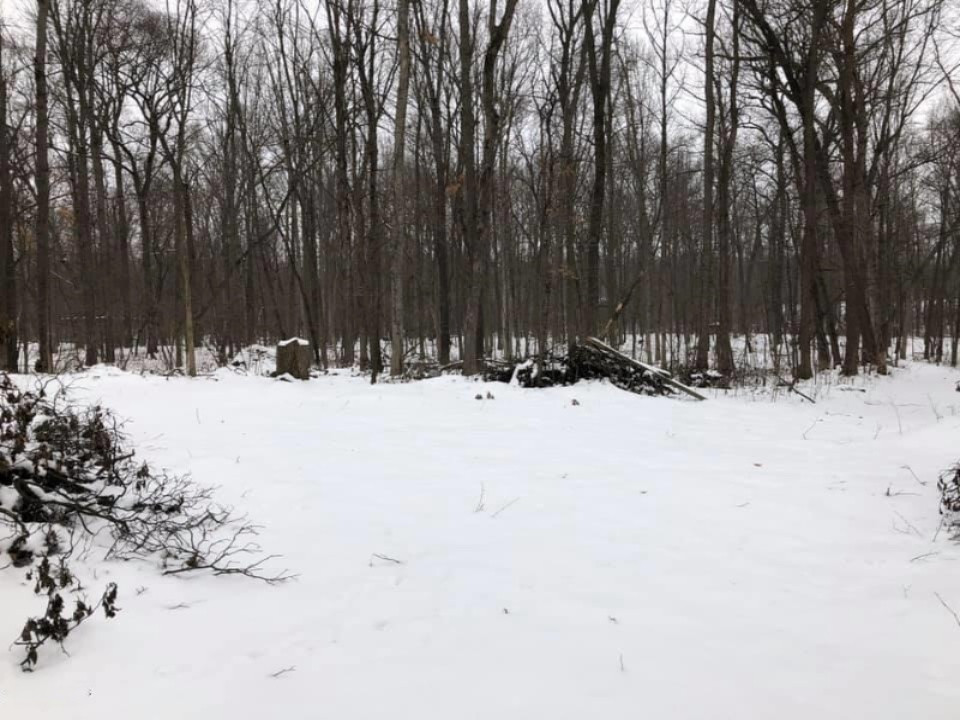 -vl Brown Road Springport, MI 49284 - Photo 7 of 14 brown 7