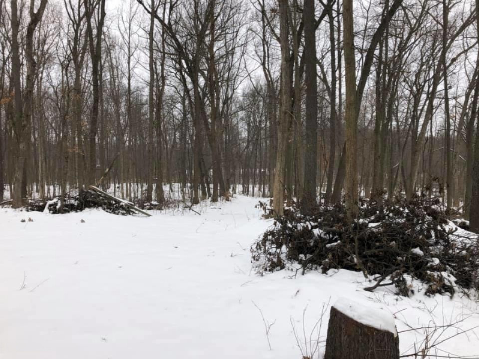 -vl Brown Road Springport, MI 49284 - Photo 8 of 14 brown 8