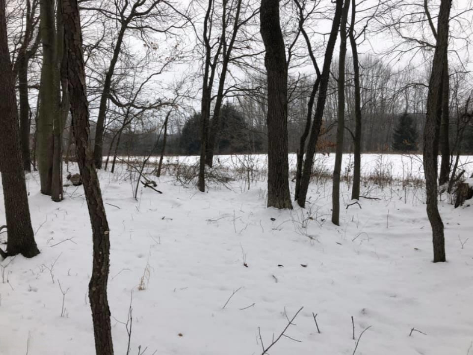 -vl Brown Road Springport, MI 49284 - Photo 9 of 14 brown 9