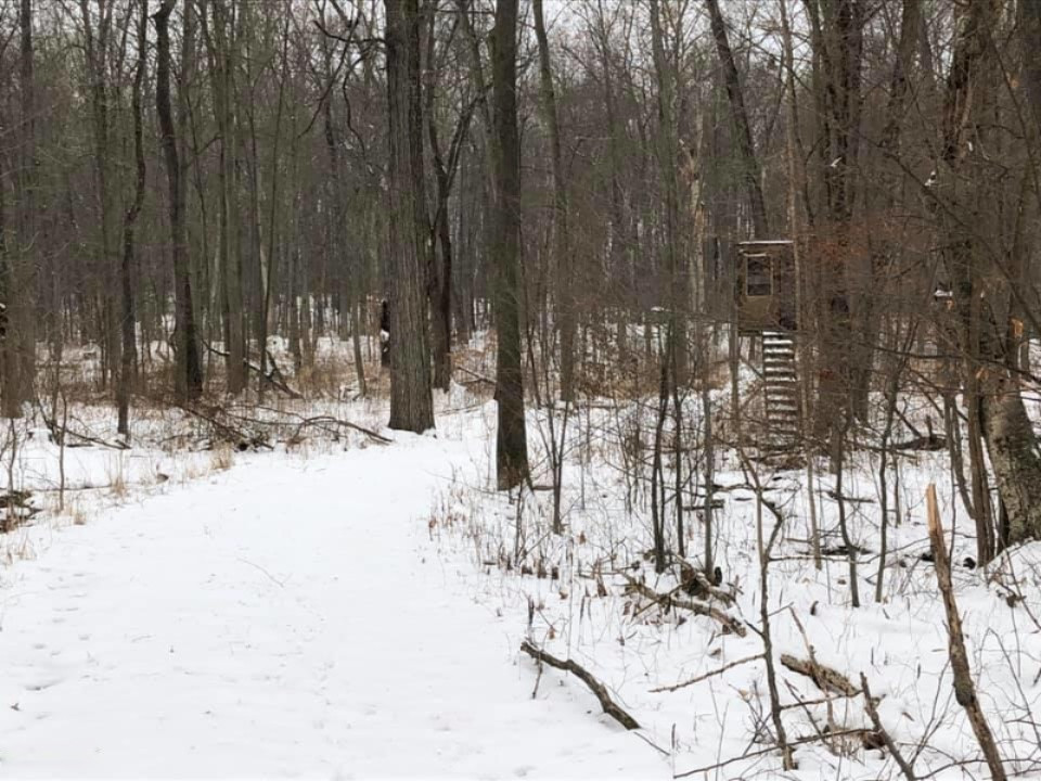 -vl Brown Road Springport, MI 49284 - Photo 10 of 14 brown 10