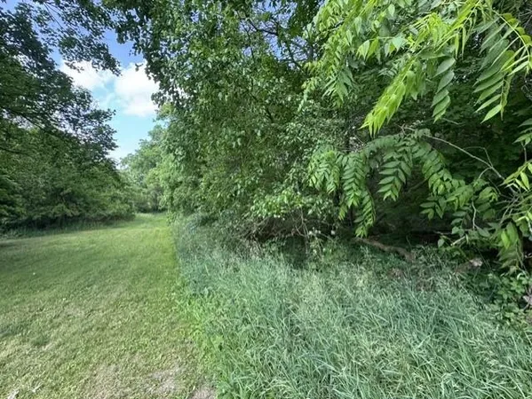 $29,900 | Tbd North Lincoln Street, Stanton, MI 48888