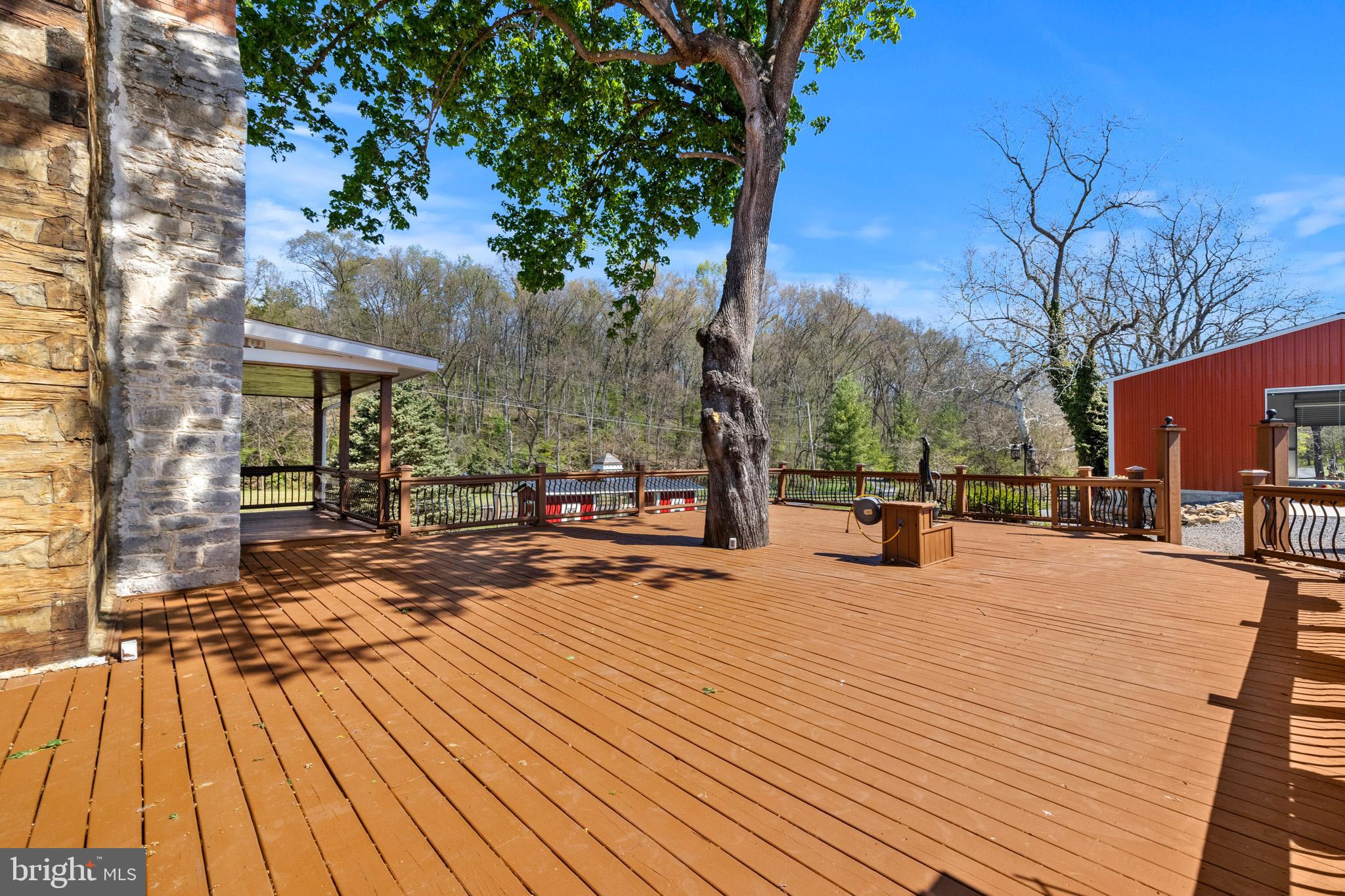 989 Swover Creek Road Edinburg, VA 22824 - Photo 85 of 132 Huge Deck
