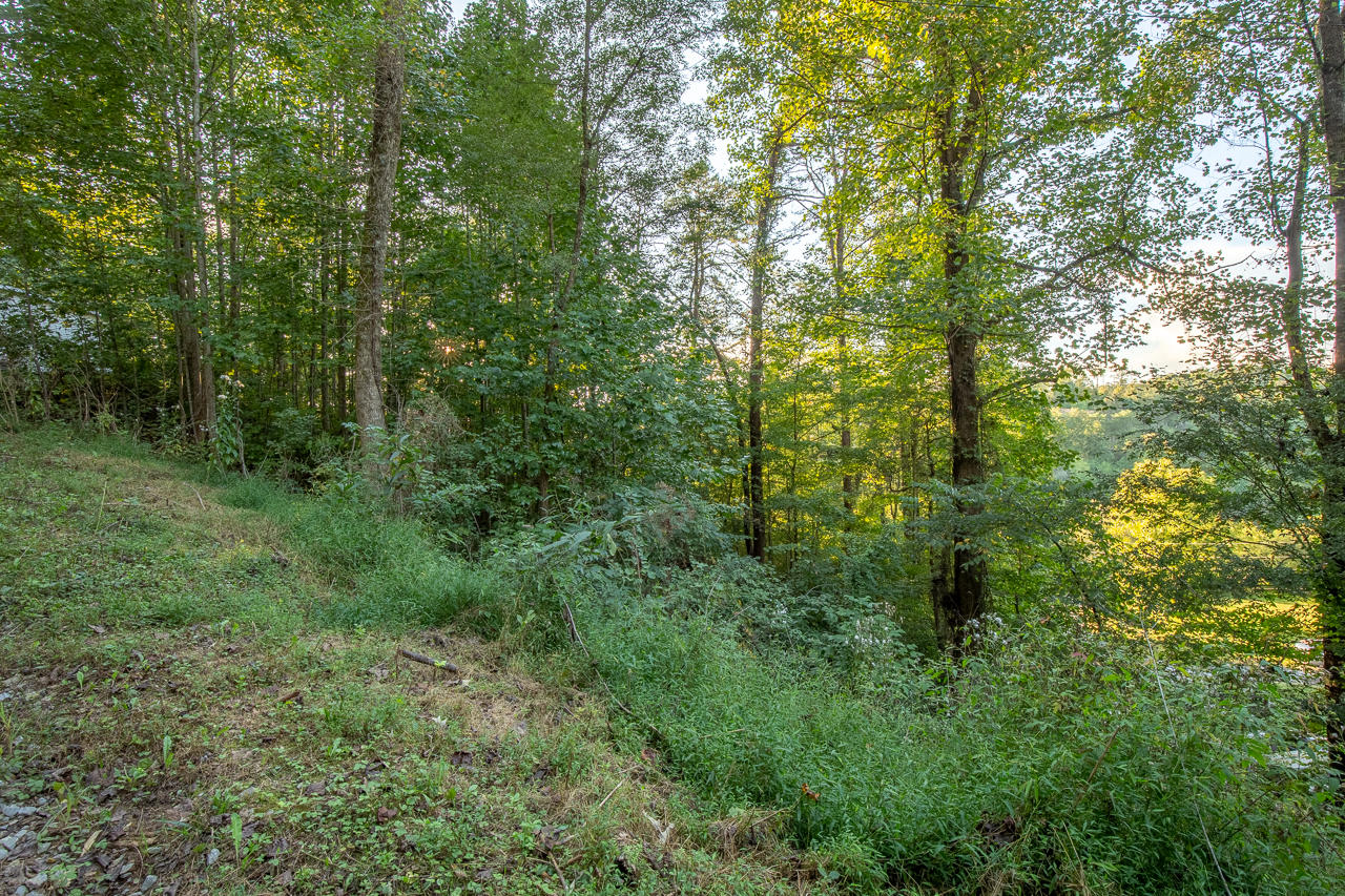 2219-2223 Goose Gap Road Sevierville, TN 37876 - Photo 12 of 12 2219 Goose Gap Rd , Sevierville -12