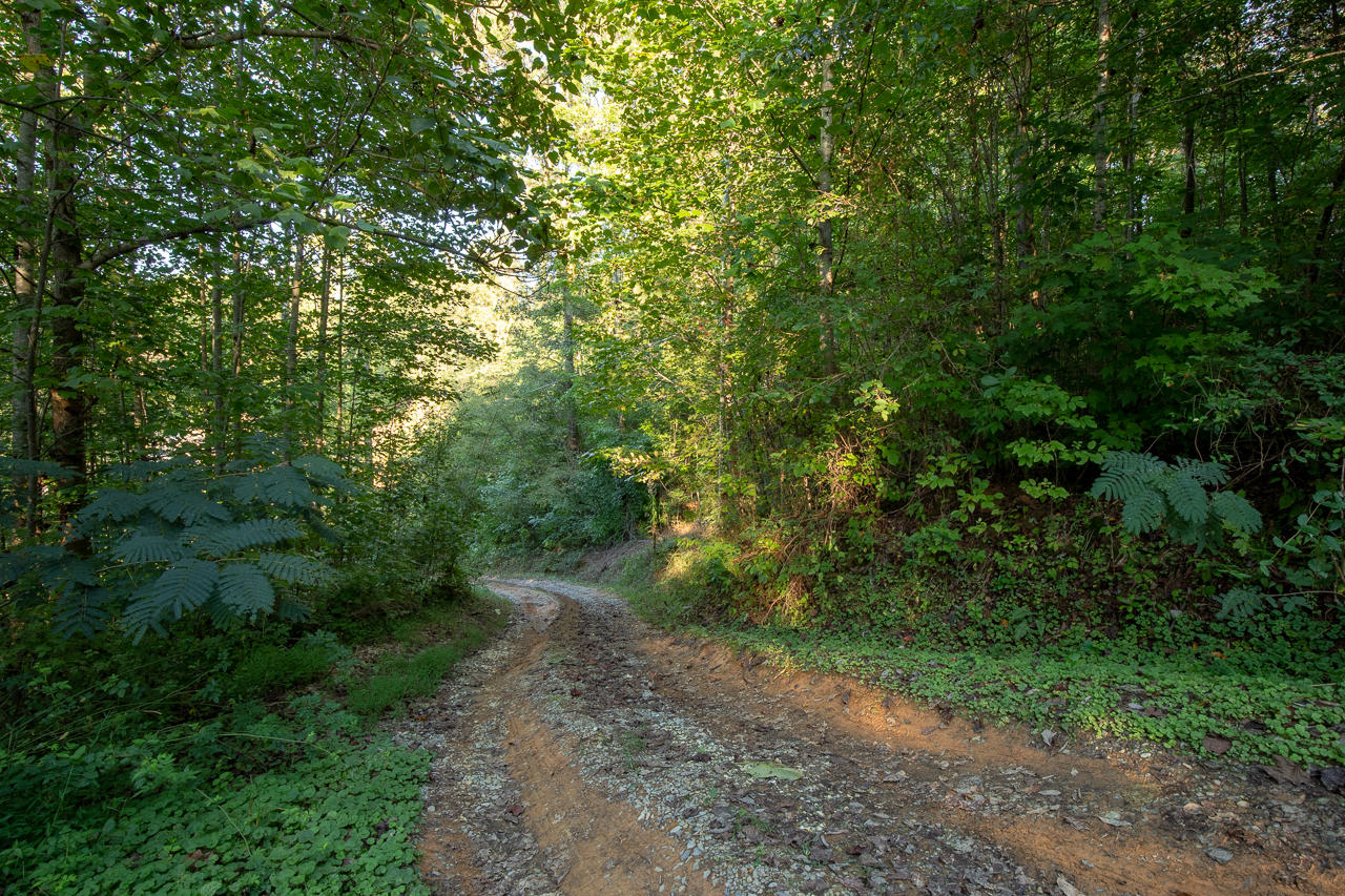 2219-2223 Goose Gap Road Sevierville, TN 37876 - Photo 10 of 12 2219 Goose Gap Rd , Sevierville -9