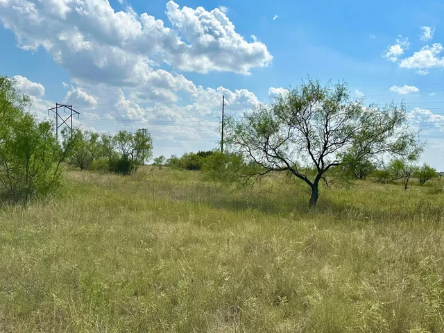 a view of a lake from a yard