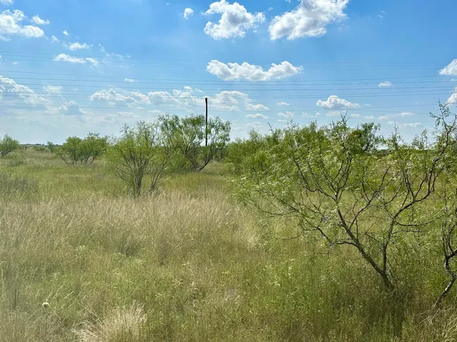 a view of lake with green space