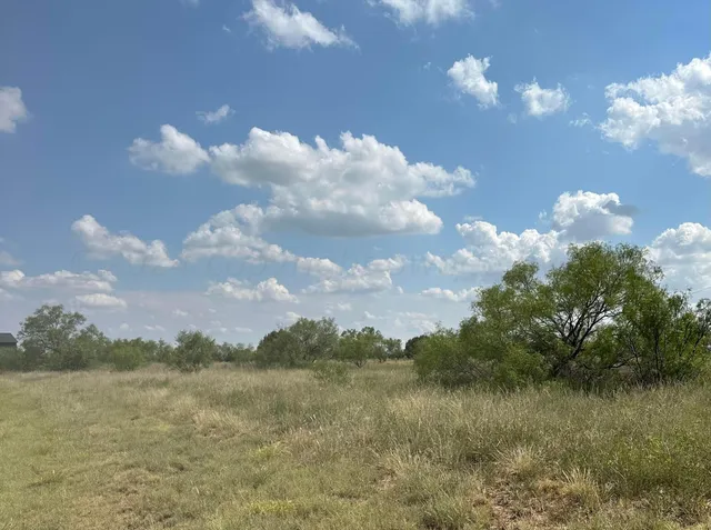a view of a lake in middle of forest