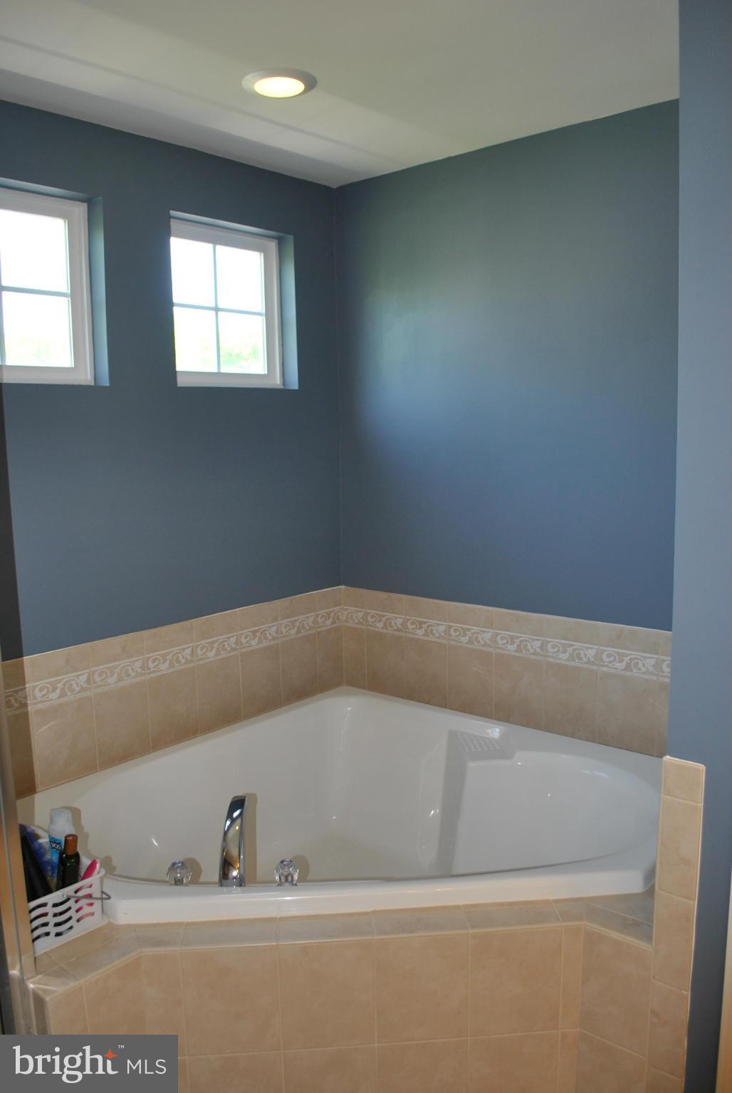 4531 Spring Run Road Warrenton, VA 20187 - Photo 14 of 30 Luxury soaking tub