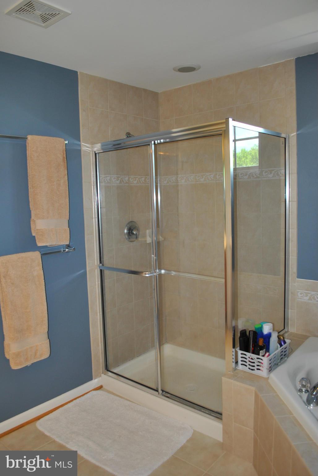 4531 Spring Run Road Warrenton, VA 20187 - Photo 15 of 30 Separate shower