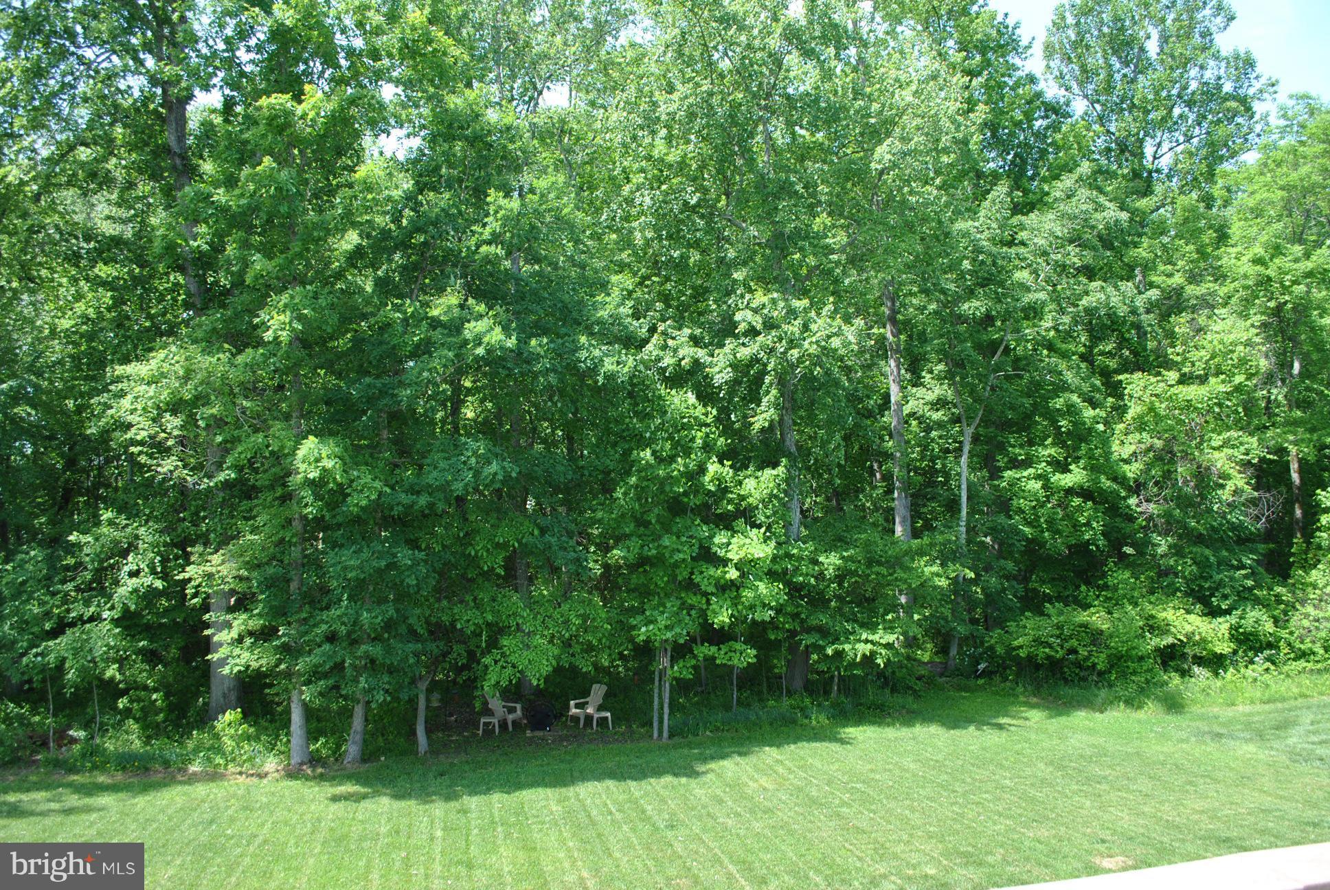 4531 Spring Run Road Warrenton, VA 20187 - Photo 26 of 30 View from deck