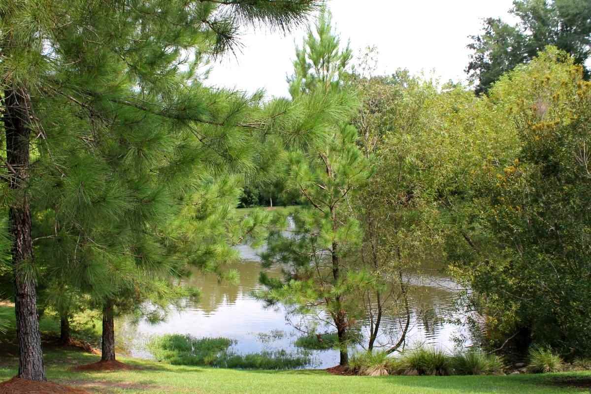 8580 North Lamhatty Lane Daphne, AL 36526 - Photo 41 of 49 Community Lake