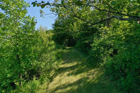$119,900 | 13638 183rd Street, Barrett, MN 56311
