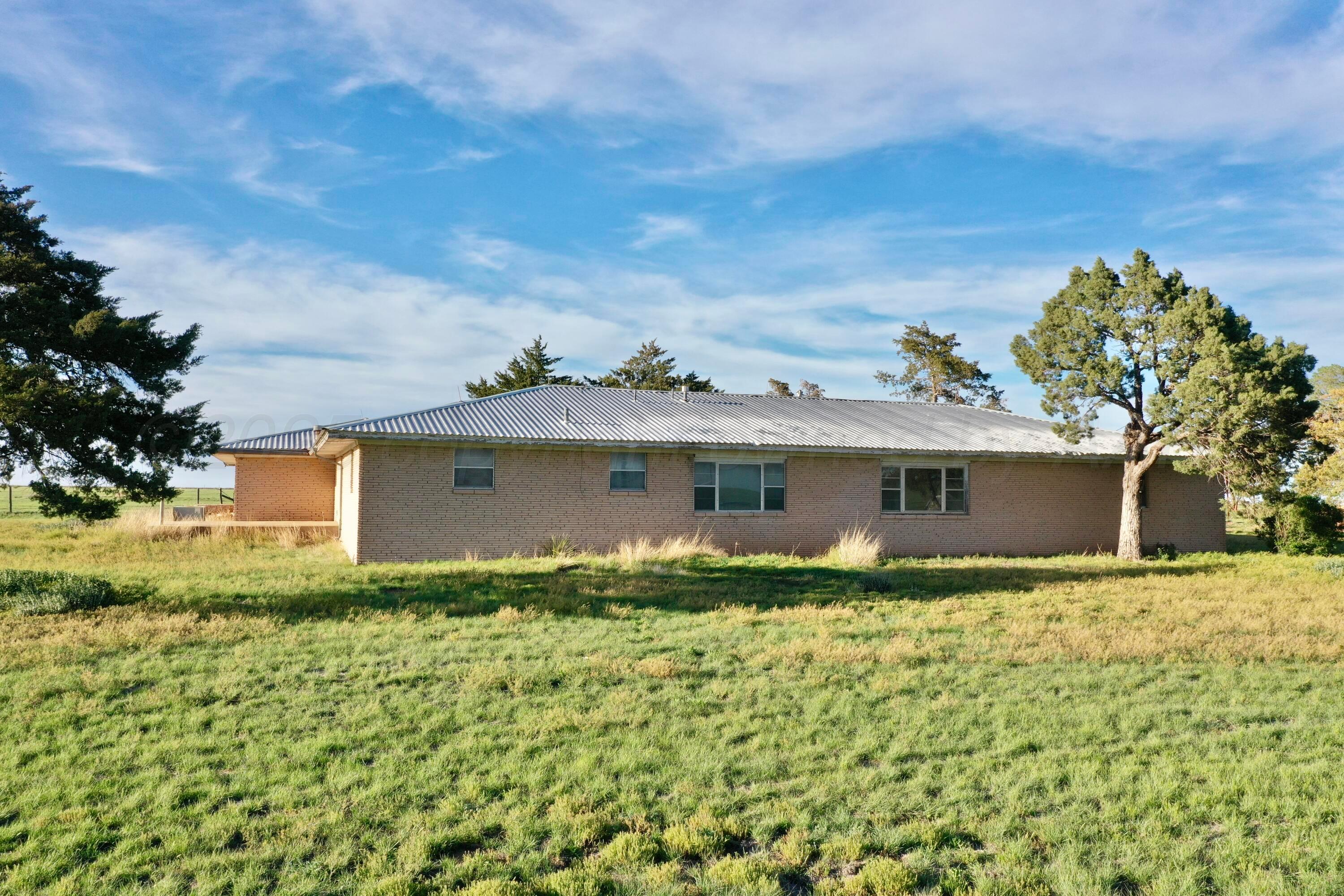 6675 Highway 86 Tulia, TX 79088 - Photo 13 of 68 a front view of house with yard and trees around