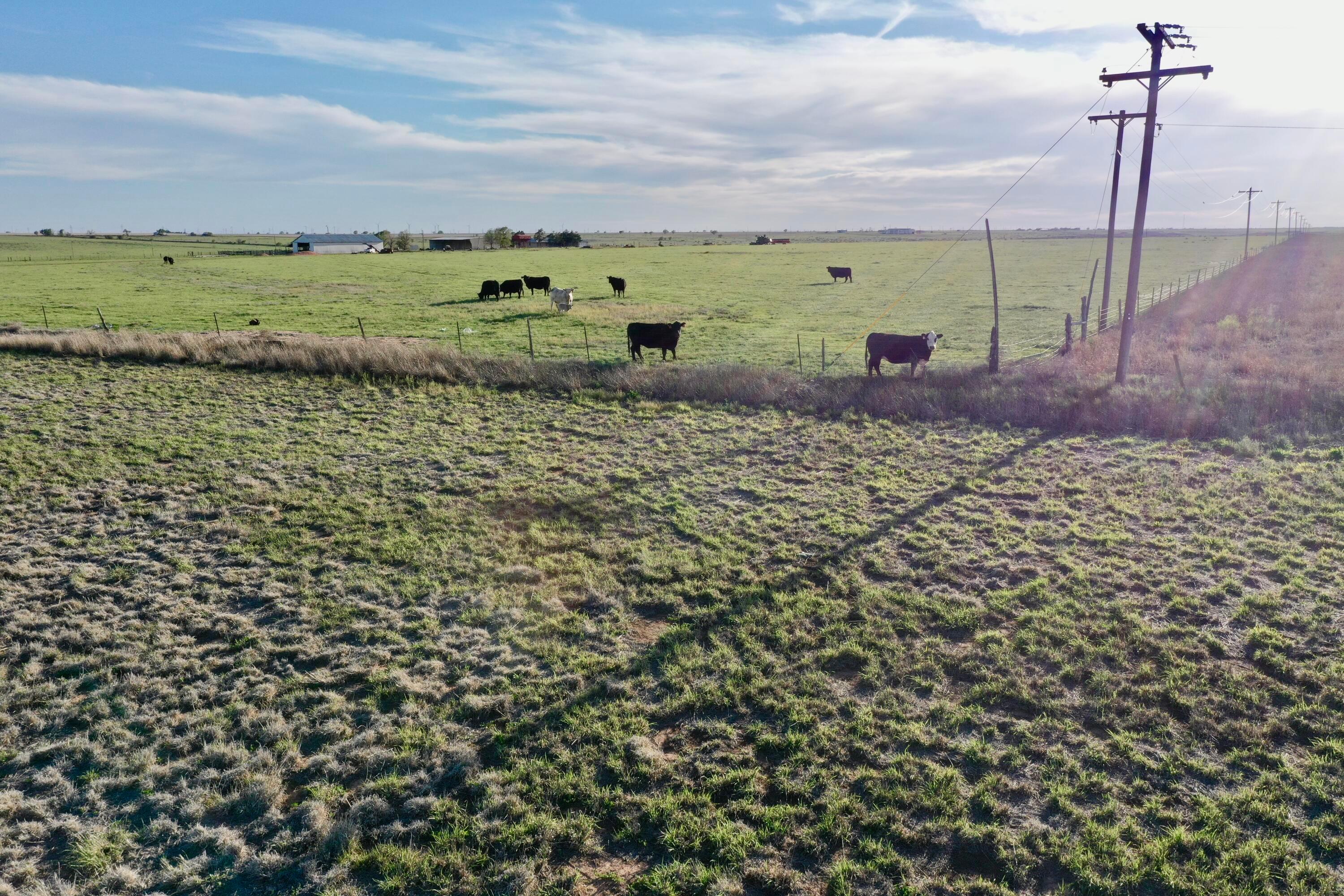 6675 Highway 86 Tulia, TX 79088 - Photo 15 of 68 a view of a garden with a building