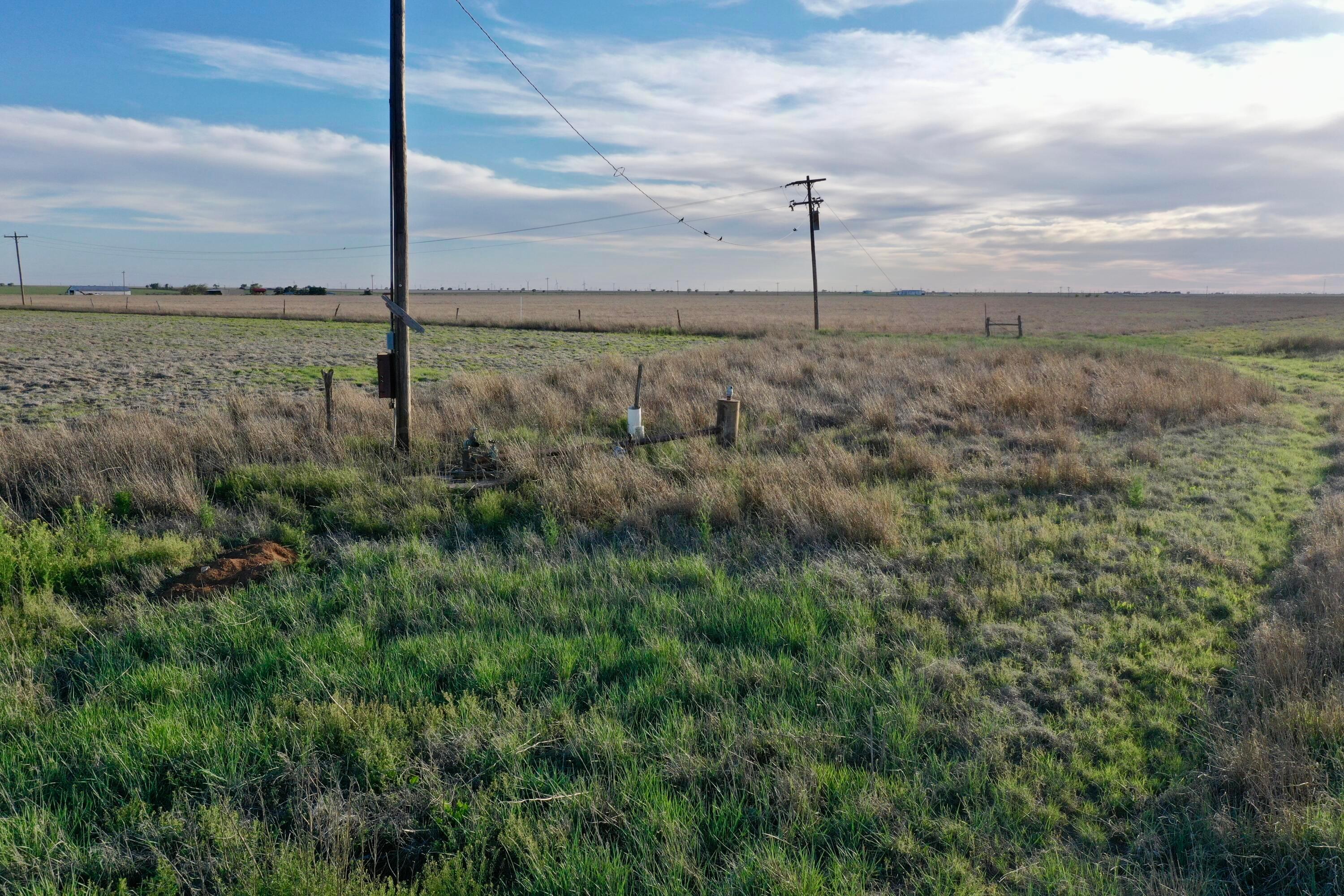 6675 Highway 86 Tulia, TX 79088 - Photo 16 of 68 a view of a city with a tall tree in the background