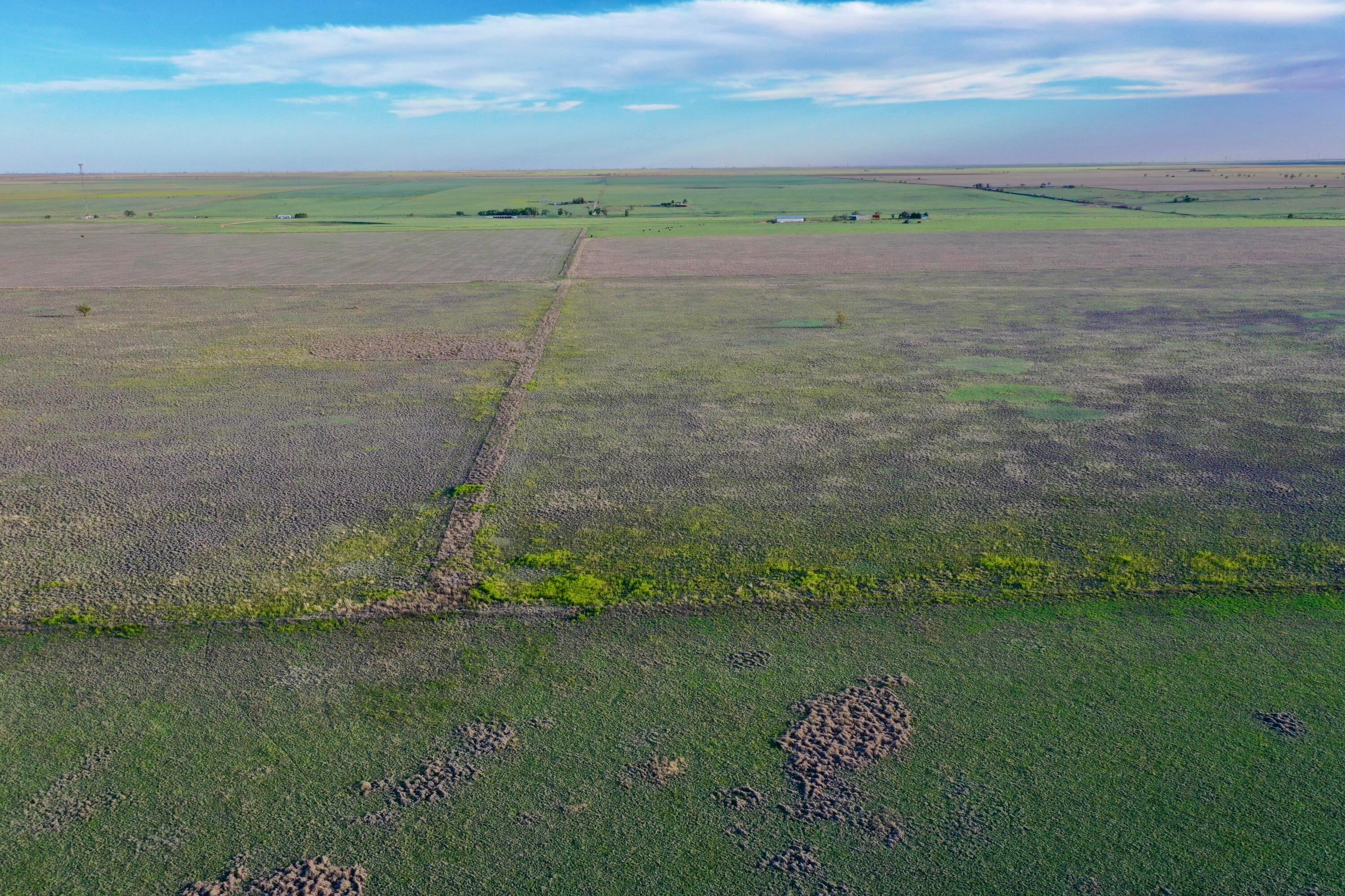 6675 Highway 86 Tulia, TX 79088 - Photo 18 of 68 a view of a lake with a yard