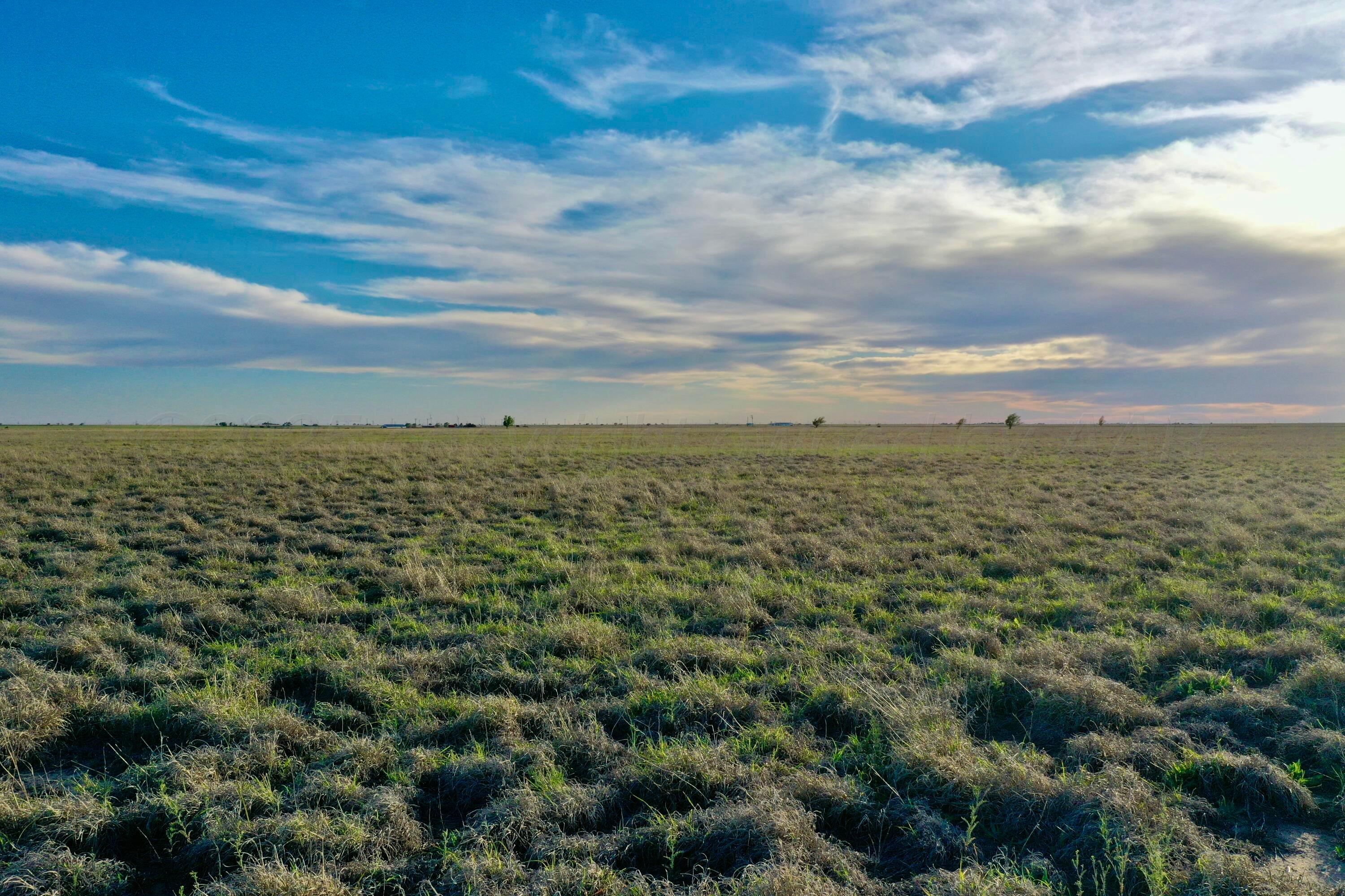 6675 Highway 86 Tulia, TX 79088 - Photo 22 of 68 a view of a field with an ocean