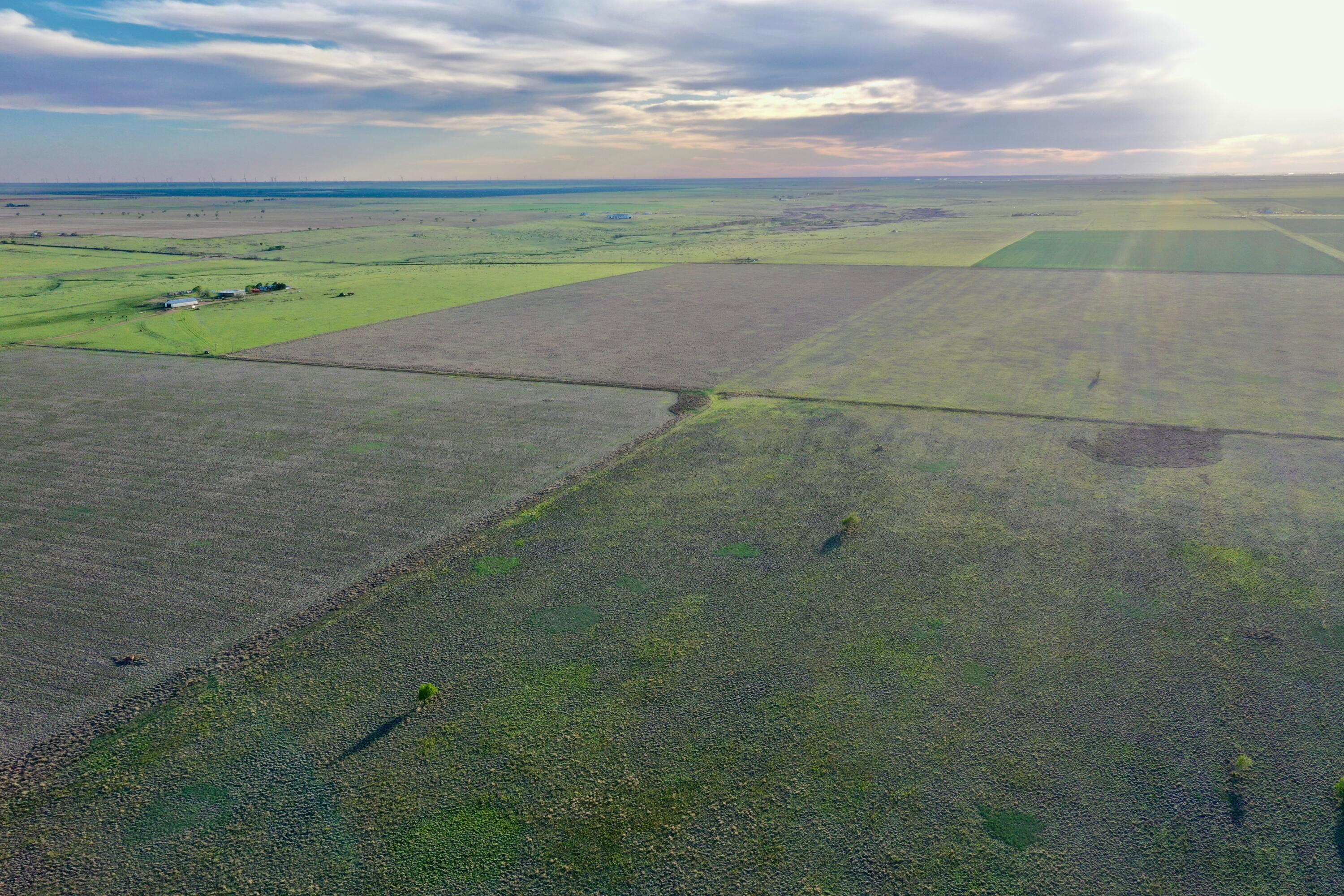 6675 Highway 86 Tulia, TX 79088 - Photo 23 of 68 DJI_0571