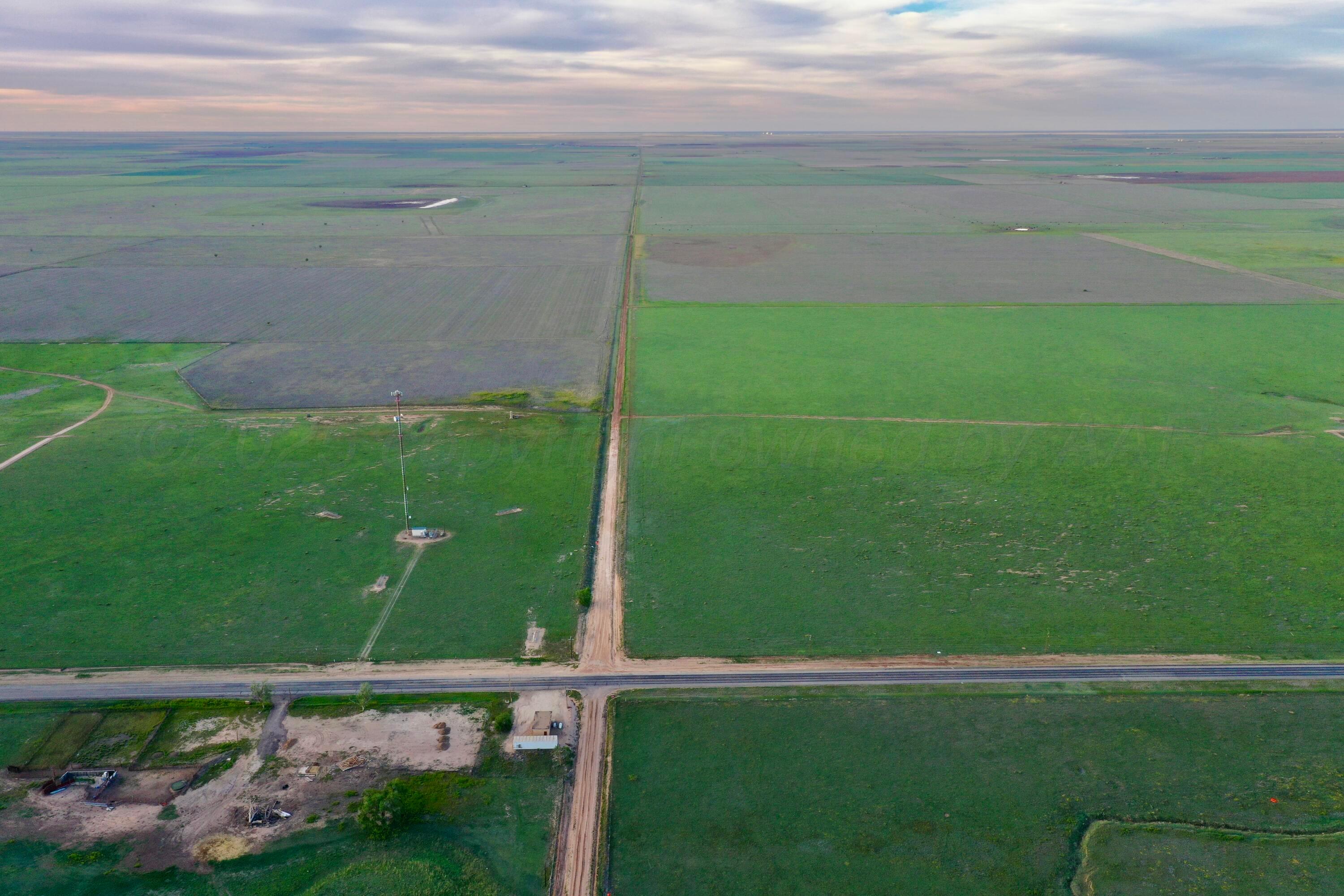 6675 Highway 86 Tulia, TX 79088 - Photo 29 of 68 a view of a garden from a terrace