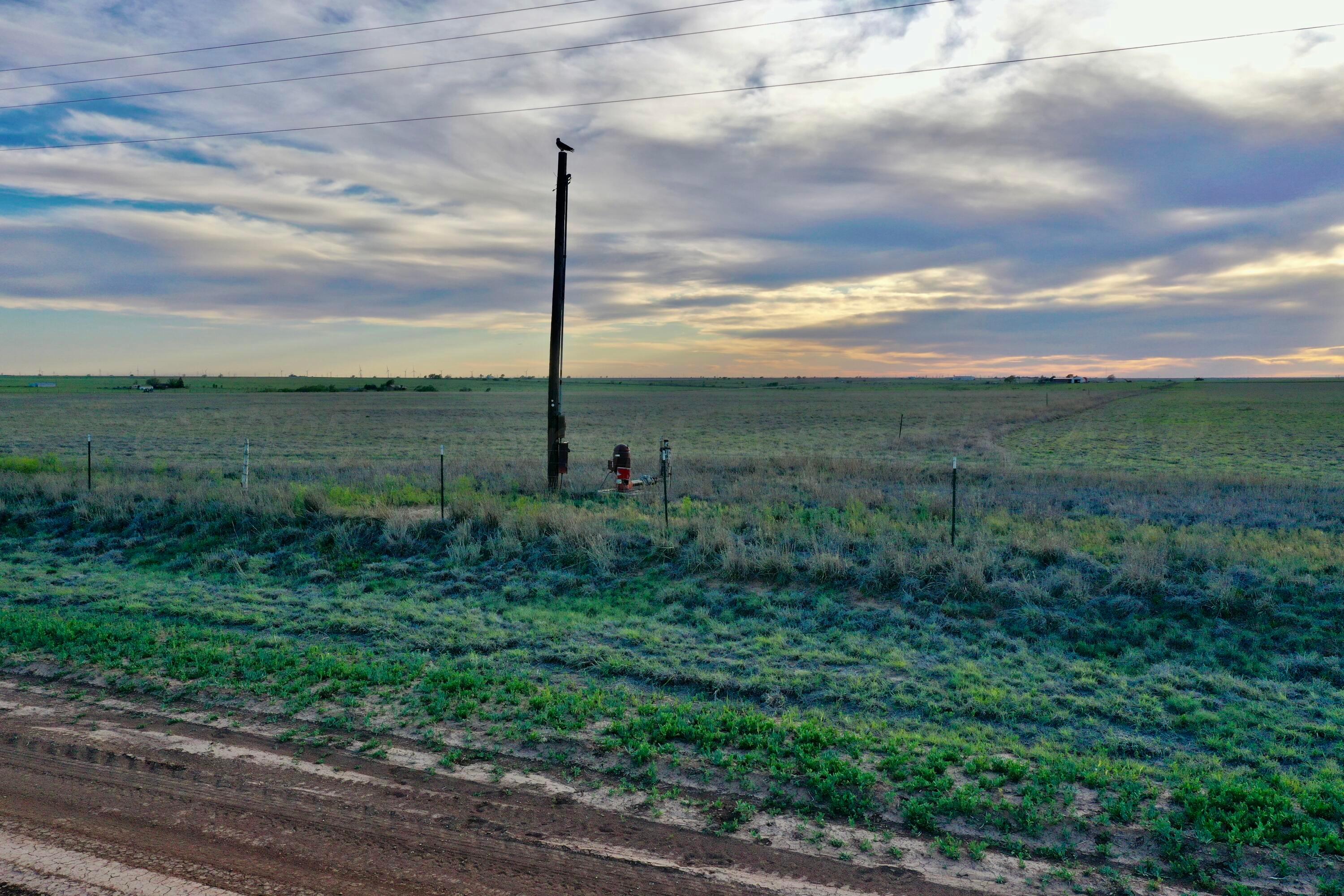 6675 Highway 86 Tulia, TX 79088 - Photo 34 of 68 a view of a garden with an tree