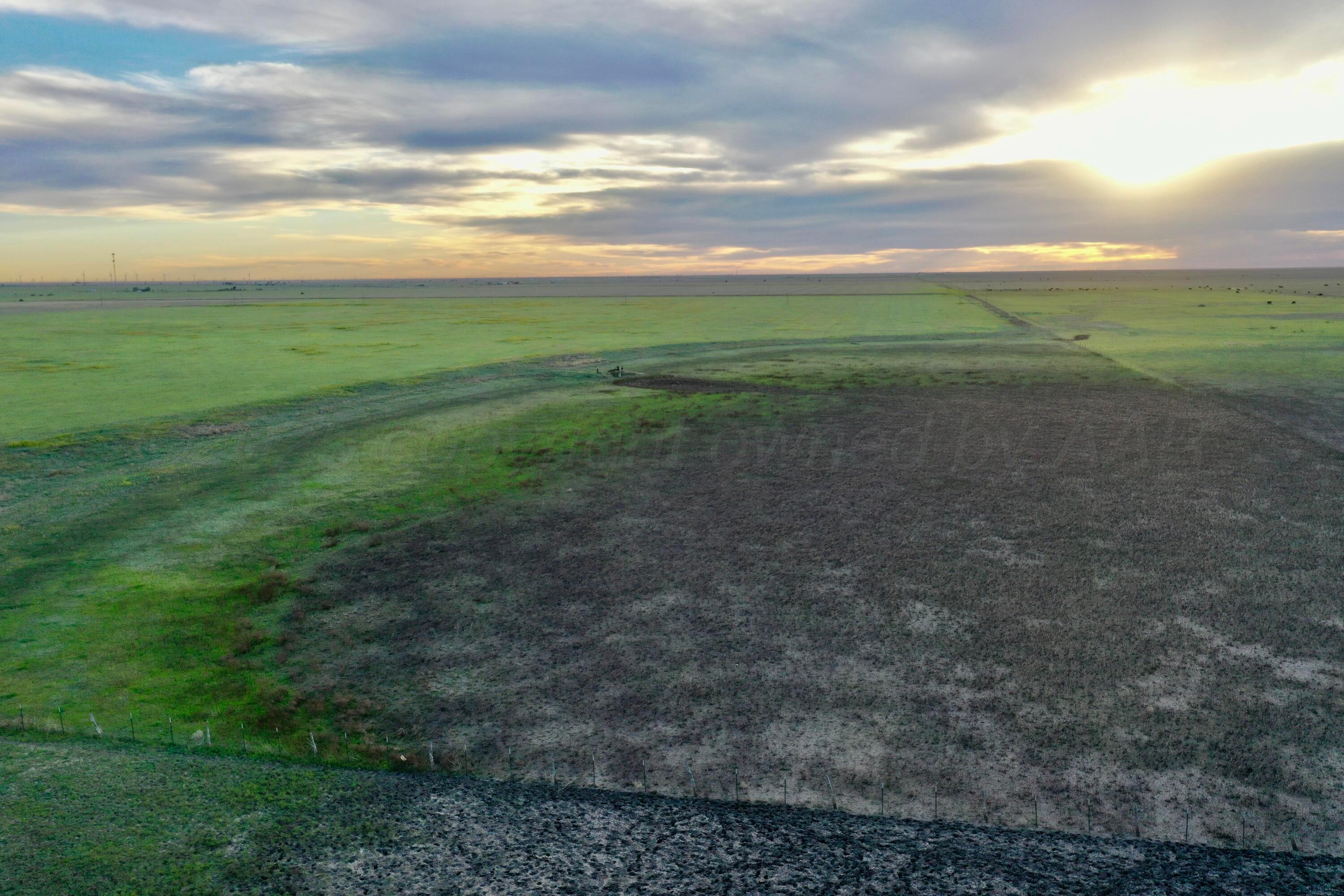 6675 Highway 86 Tulia, TX 79088 - Photo 40 of 68 a view of a pathway both side of grassy field with shrub