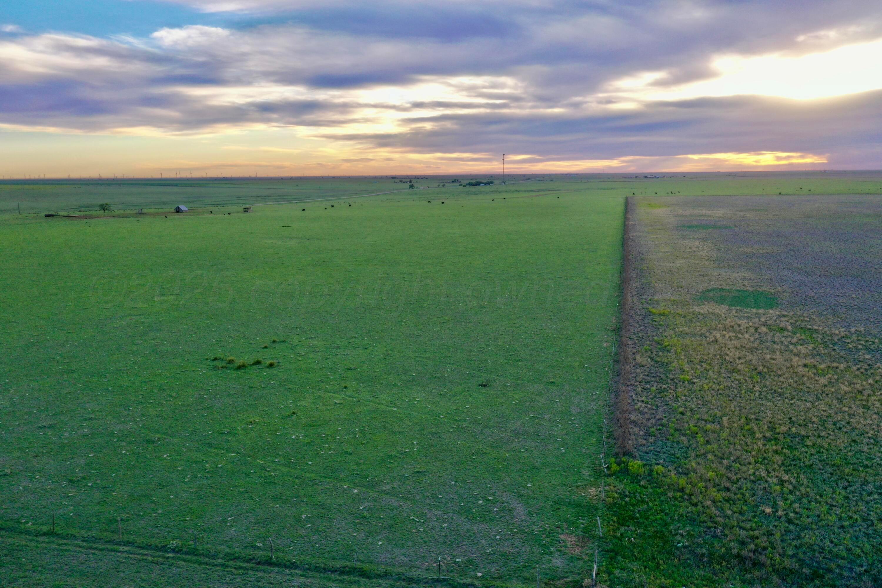 6675 Highway 86 Tulia, TX 79088 - Photo 42 of 68 DJI_0609