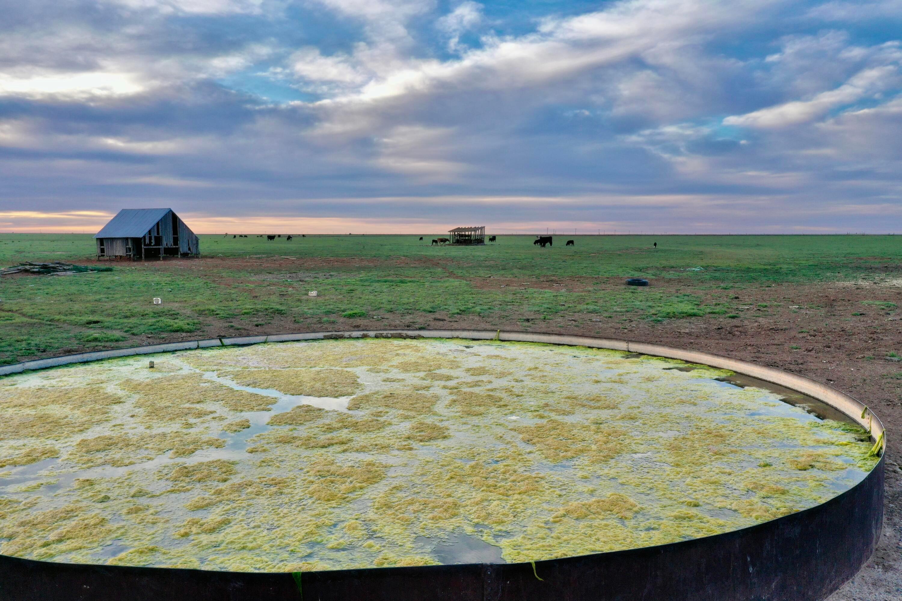 6675 Highway 86 Tulia, TX 79088 - Photo 45 of 68 a view of a swimming pool with a yard